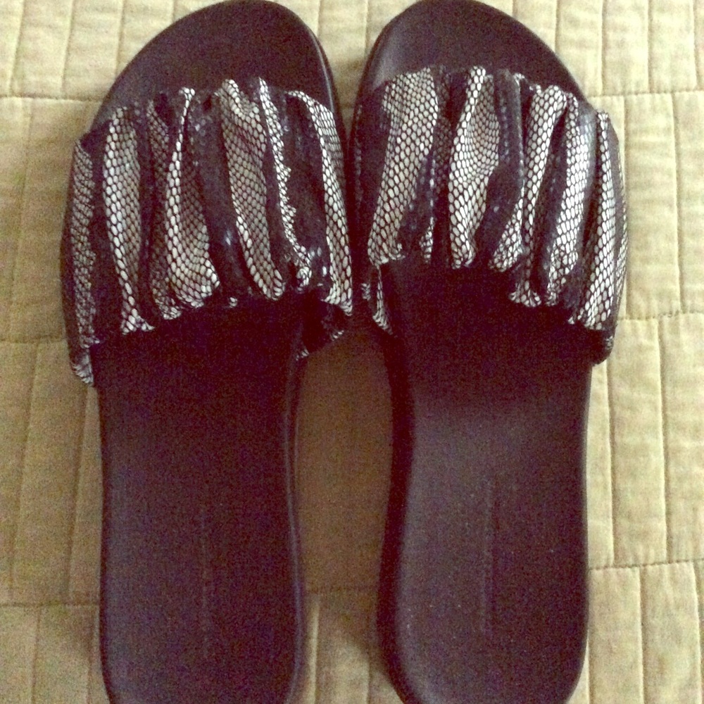 Daniella Lehavi slides